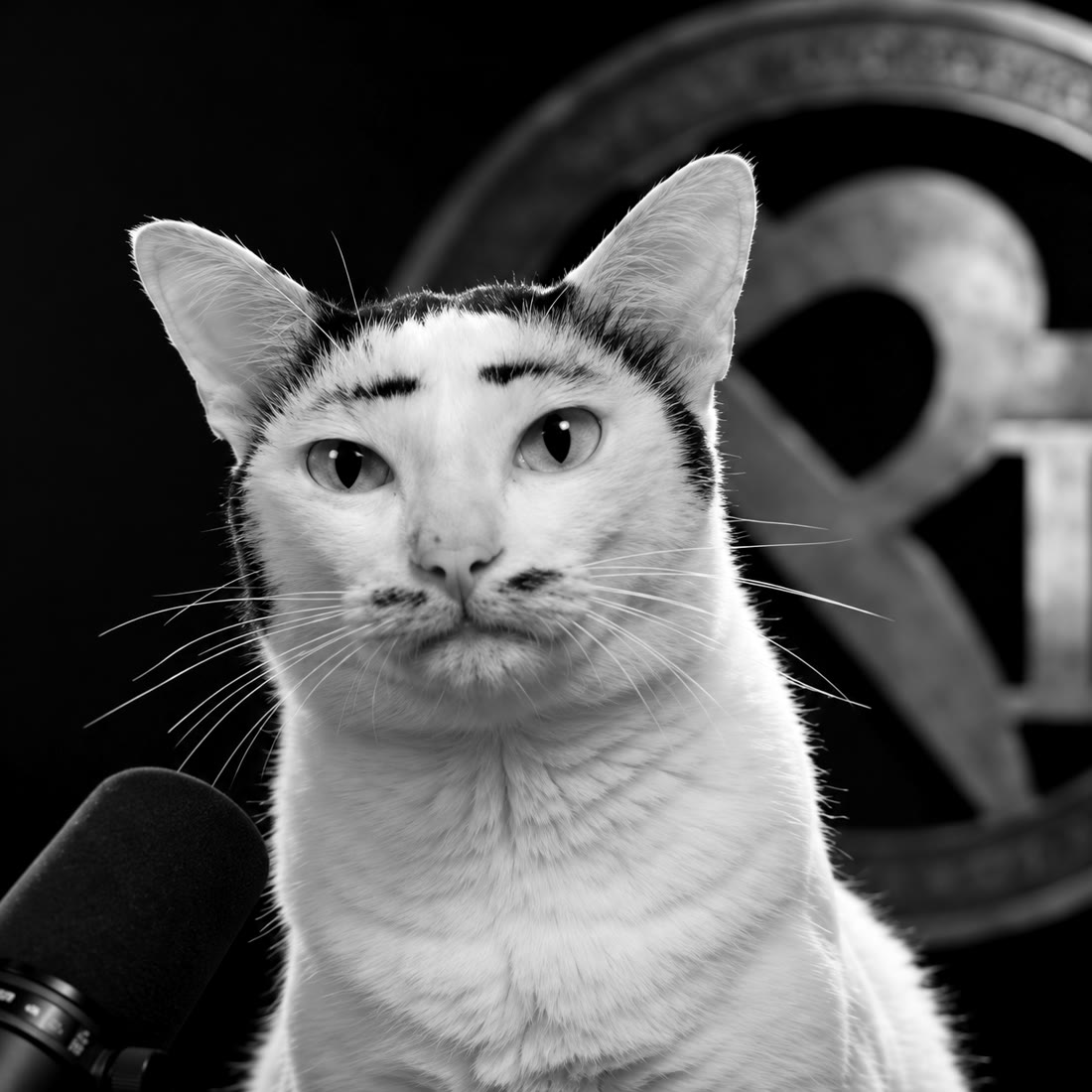Black and white studio portrait of Andrew Cathrew, a white cat with black eyebrow markings and a mustache, staring into the camera beside a microphone